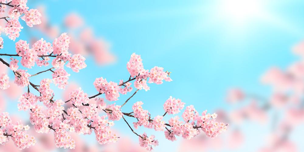 橙意信息科技